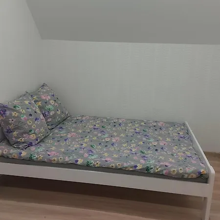 Na Zielonej Lace Nowecin