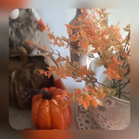 Na Zielonej Lace בית נופש *