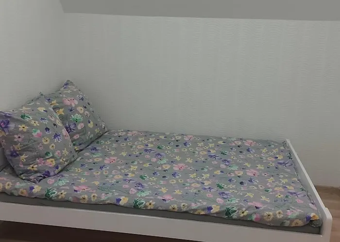 Na Zielonej Lace Nowecin