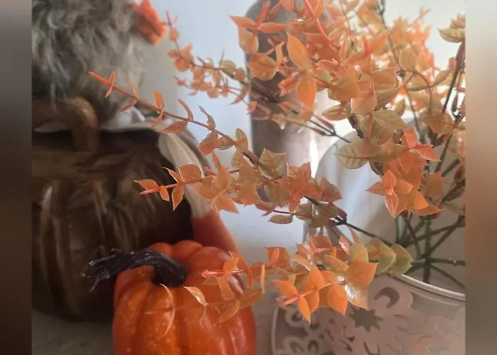 Na Zielonej Lace Tatil Evi *